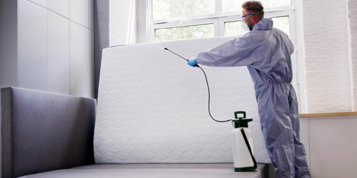 Protect Your Home With Professional Pest Control Solutions