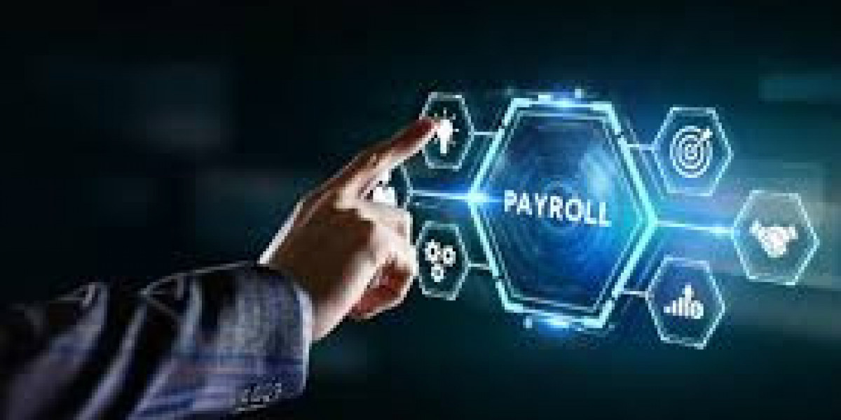 Payroll Software for Small Business Pakistan | Payroll Guide