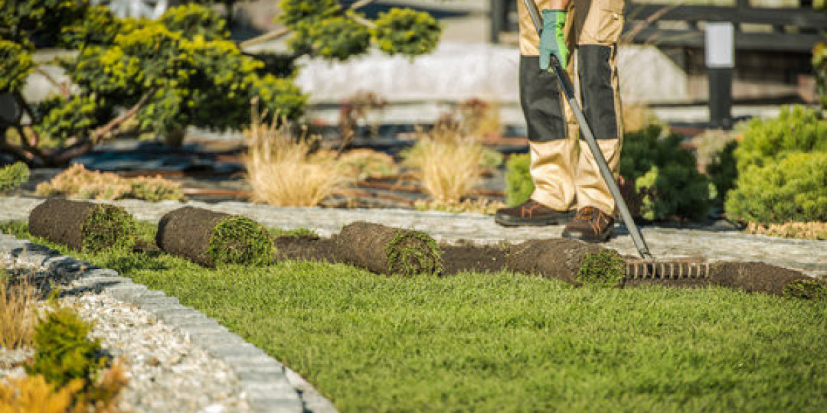 Difference Between Basic Yard Care and Landscape Planning