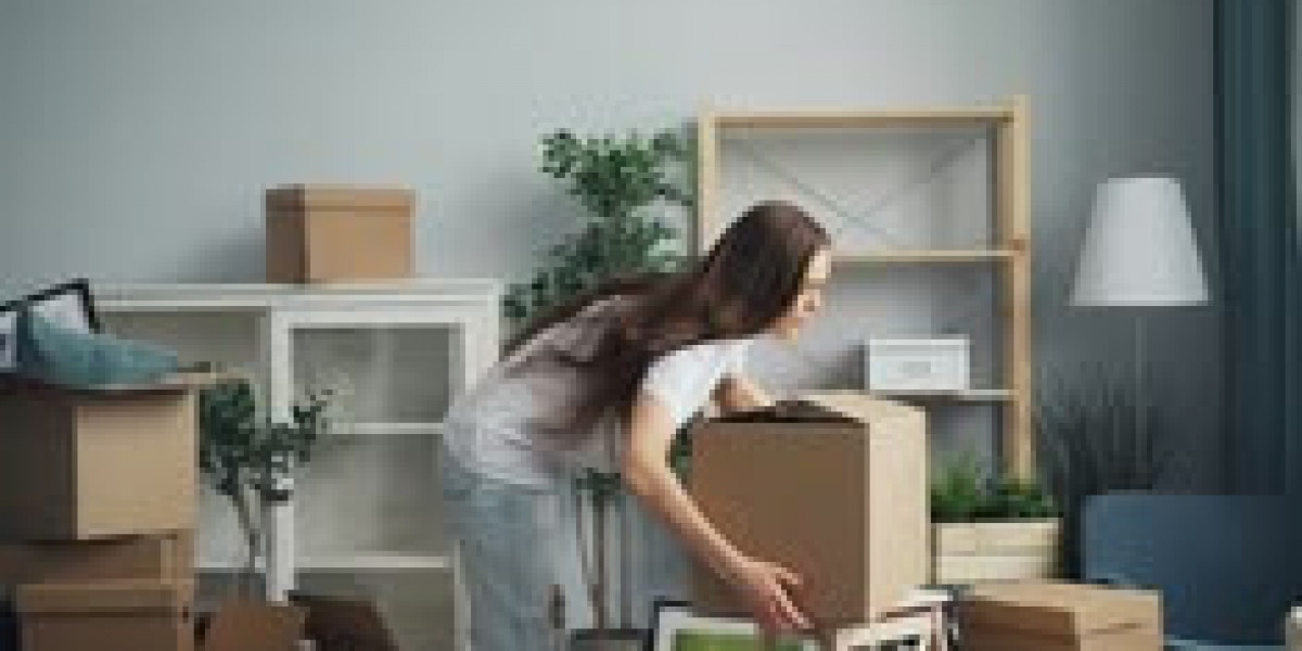 Climate-Controlled vs Standard Storage: Which Should You Choose?