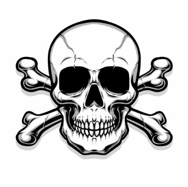 Web Guru Profile Picture