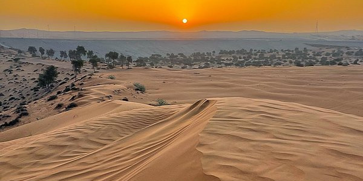 Desert Safaris Abu Dhabi | Top rated best priced Safari Operator