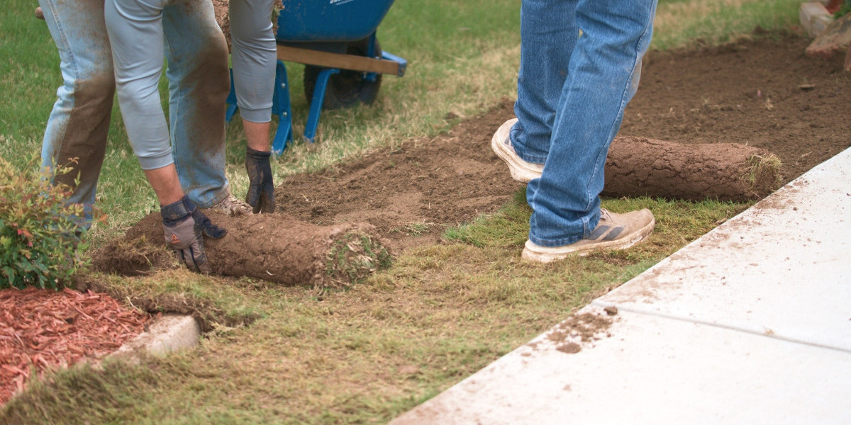 Best Time to Install Zoysia Sod for a Healthy, Green Lawn