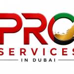 Where to invest in Dubai Profile Picture